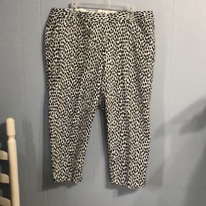 Talbots Slim Crop pants 20W